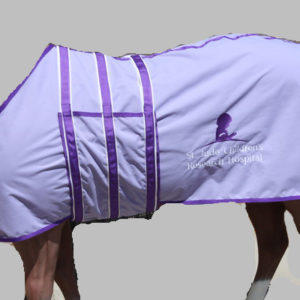 Horse Belly Flap Show Sheet
