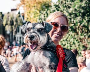 woman in red shirt carrying black and white miniature schnauzer. Winning prizes at dog shows