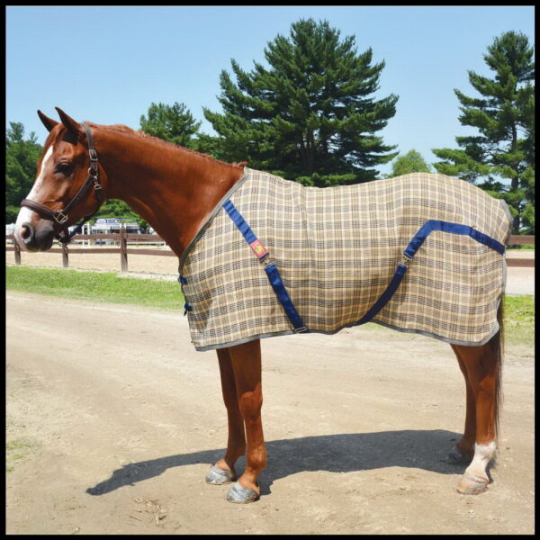 Draft Horse Blankets - Sheets For Draft Horses